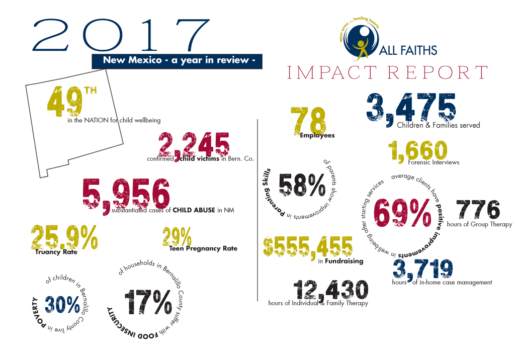 Impact Report 2017 Graphic